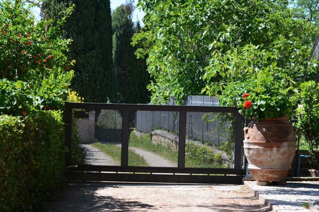 B&B Il Giovine กัมเปลโล ซุล กลีตุนโน ภายนอก รูปภาพ