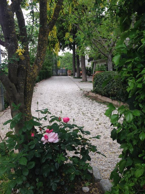 B&B Il Giovine กัมเปลโล ซุล กลีตุนโน ภายนอก รูปภาพ